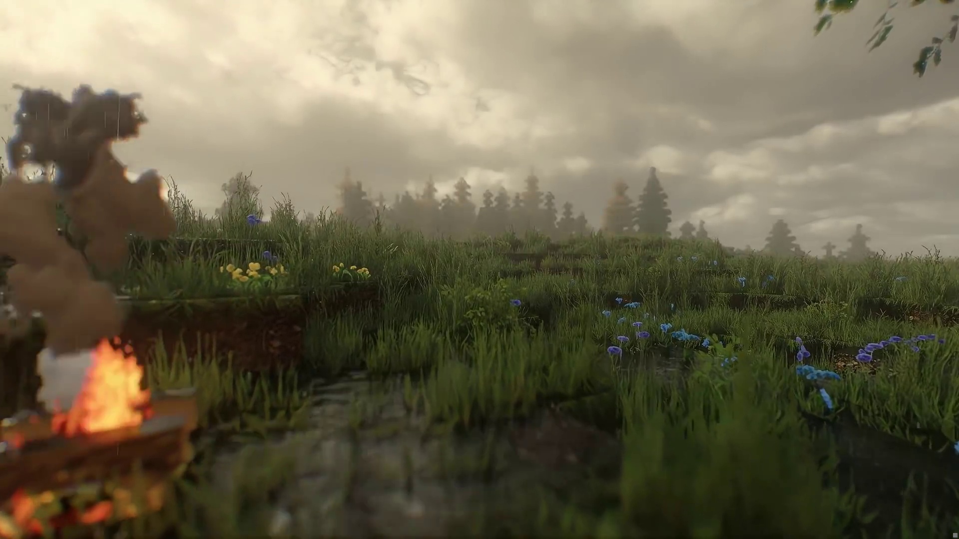 在mc里打开相机你会获得