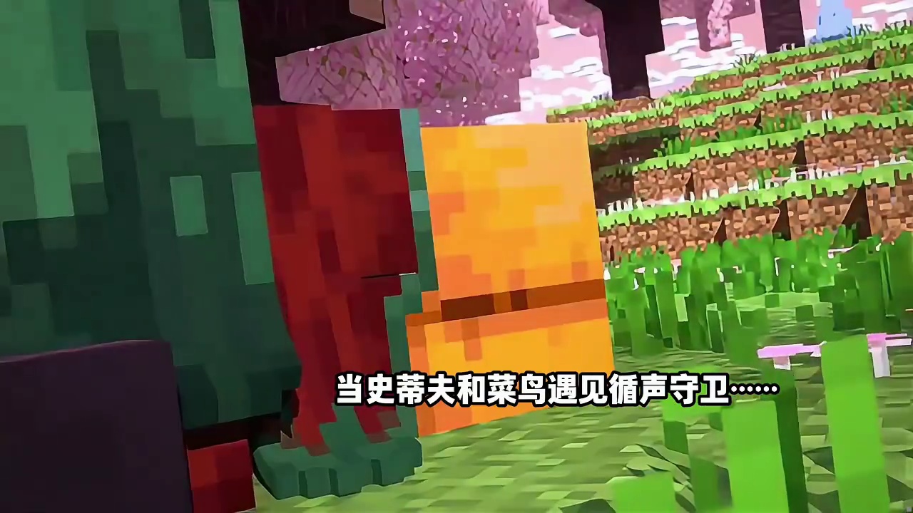 当史蒂夫和菜鸟碰见循声守卫会发生什么? #