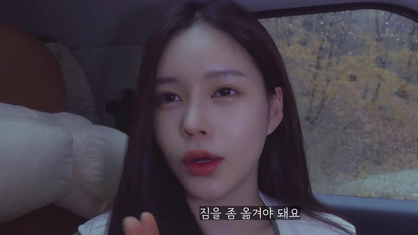 20260226 独自在雨中露营被风骂的那天_在柴火炉上煮牛排_第一次启动TP帐篷_陪伴我的狗_雨天