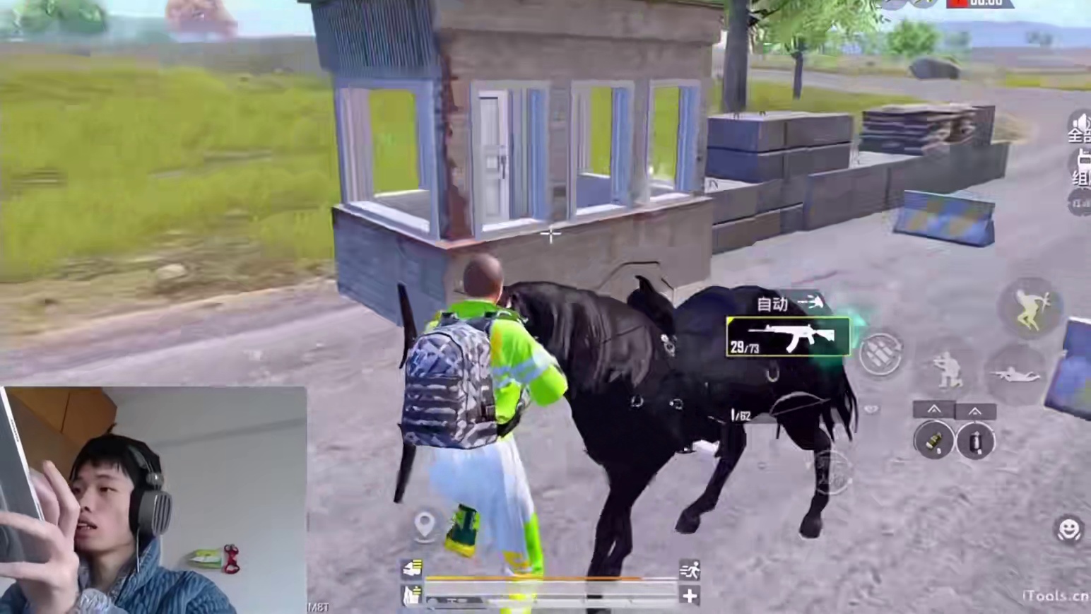 鲨鱼到底有多无聊