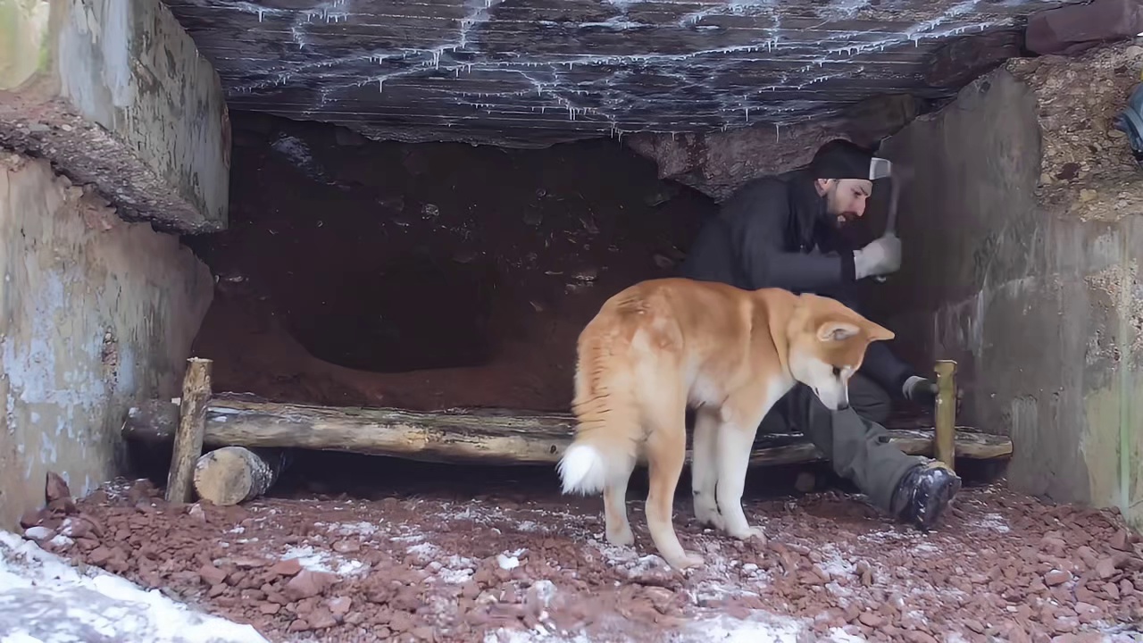 零下三十度的天气，男人带上狗子独自在野外露营