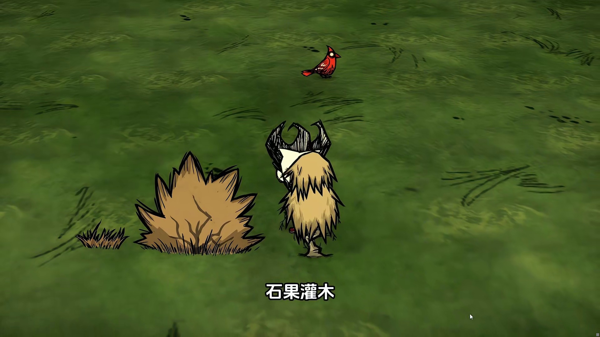 饥荒联机版：植物为什么会枯萎？是什么原因导致枯萎的？