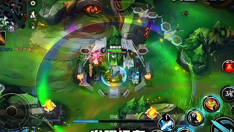 这狮子狗玩出五年前LOL的感觉