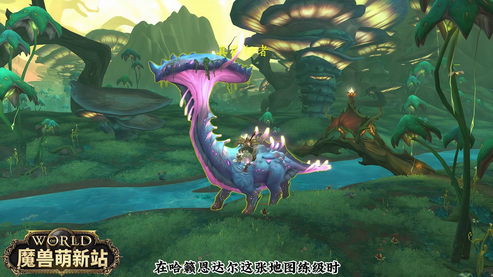 拉好仇恨 放着我来 至暗之夜前夕 魔兽世界至暗之夜攻略