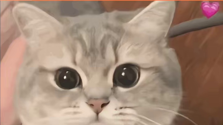 她都养奶牛猫了，能有多好的精神状态