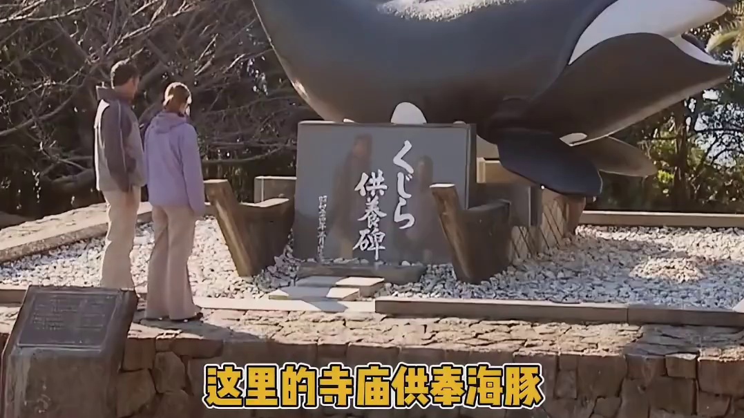 对大自然再敬畏一些吧