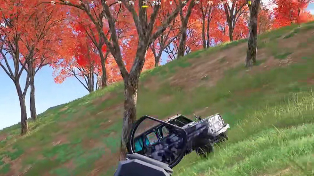 “这个直播间的摩托车会叫”