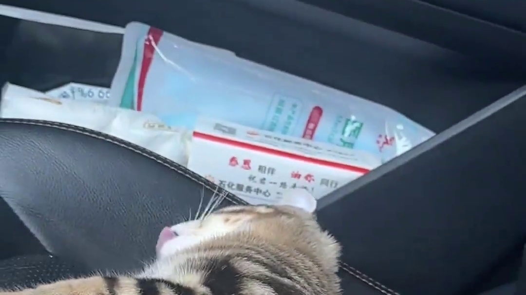 给大家汇报一下过年的情况