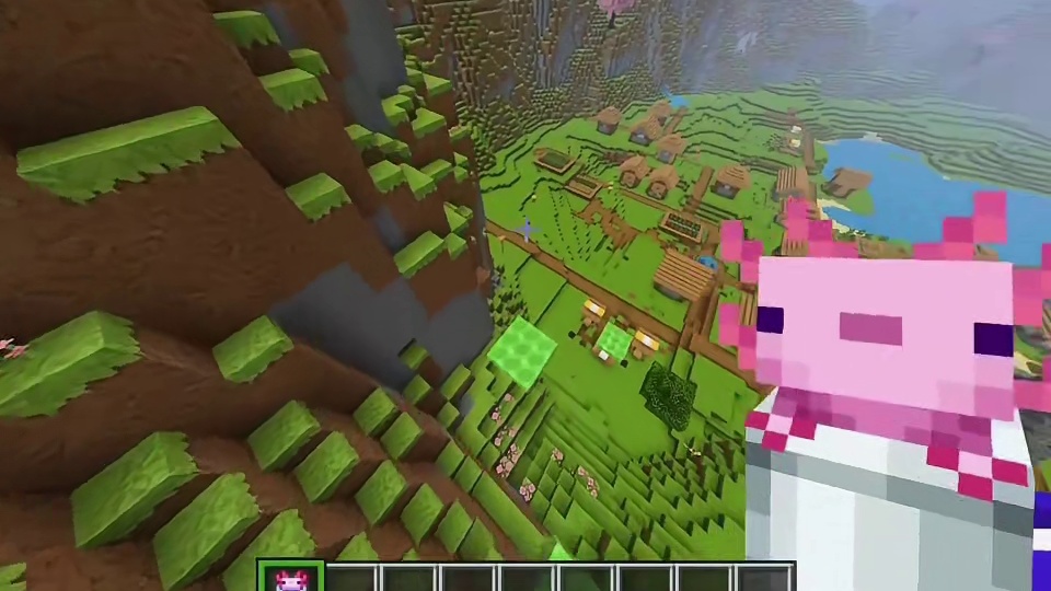 ：可爱的美西螈！