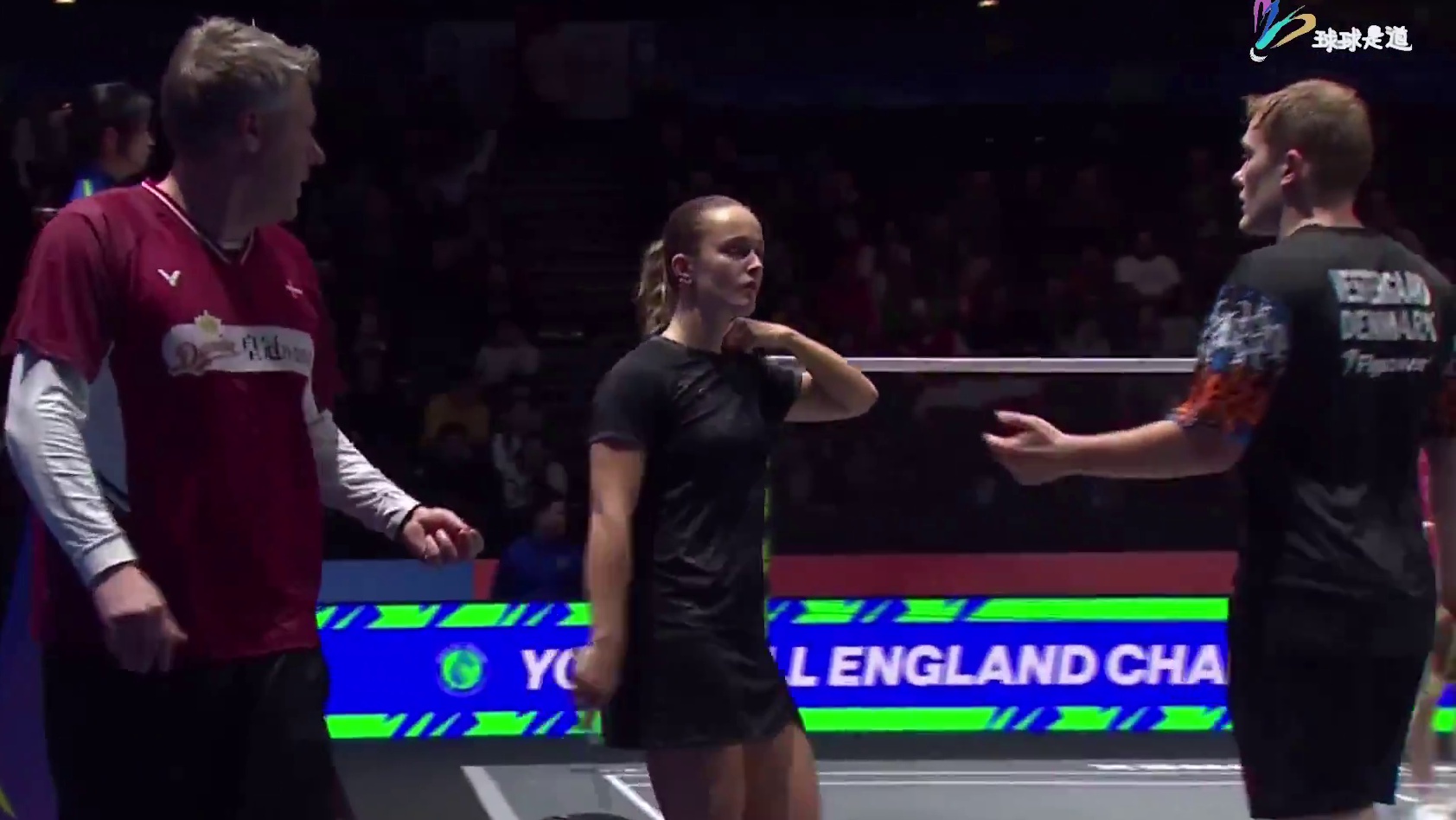 程星/张驰vs麦斯/布施全英羽毛球公开赛-下