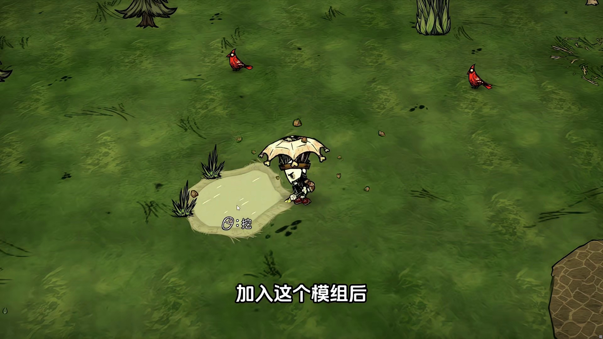 饥荒联机版：怎么把无花果树种植在池塘里？