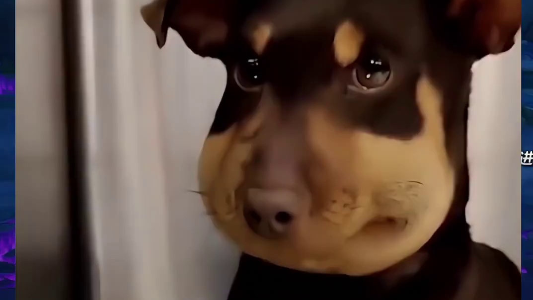 之前没什么感觉，直到看完100个太初成就任务时间才发现太黑了