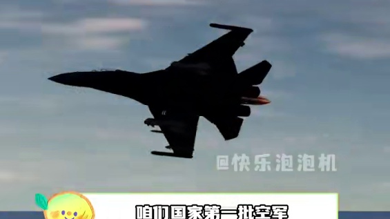 初看光荣退伍 细看误闯天家（无任何不良引导 仅供娱乐） #
