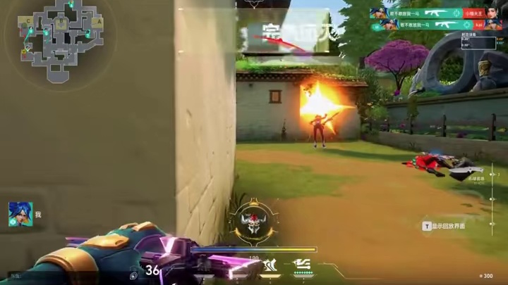 我心里有一簇迎着烈日而生的花