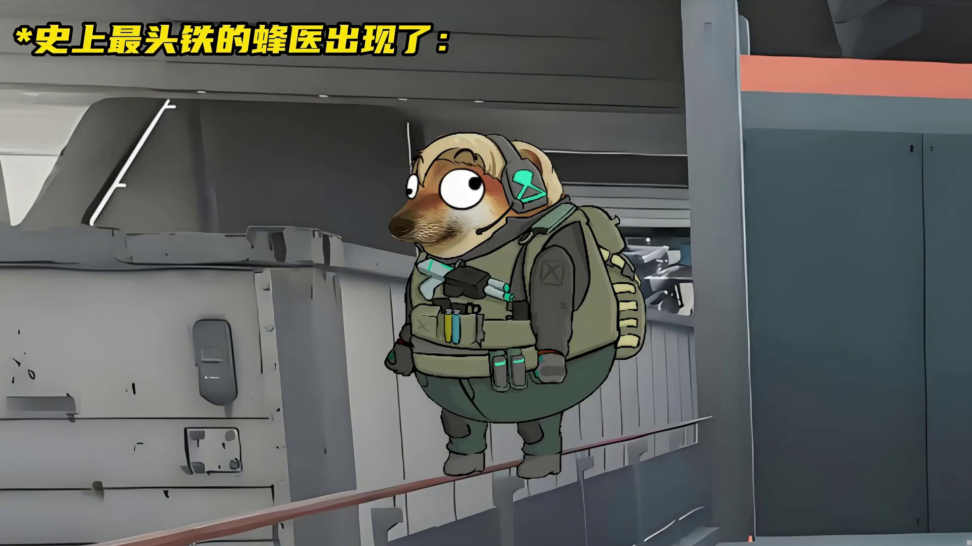 史上最头铁的蜂医出现了 感谢老师提供素材