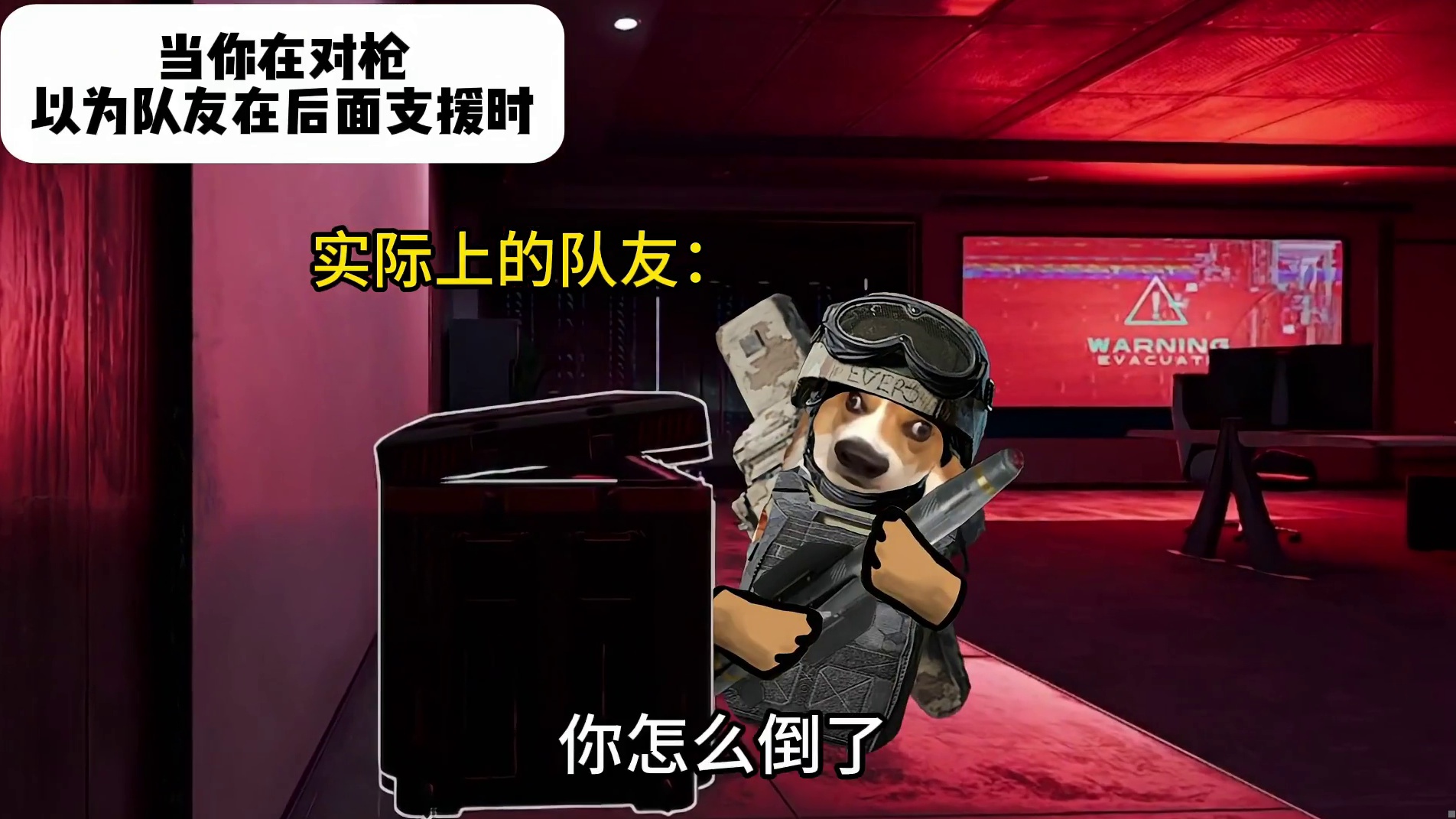 当你在对枪以为队友在后面支援你时... 假期结束接着洲