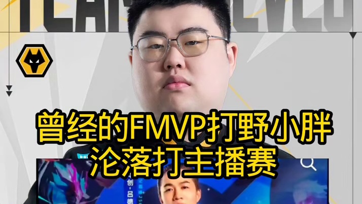 没想到没有比赛打的小胖只能打主播赛