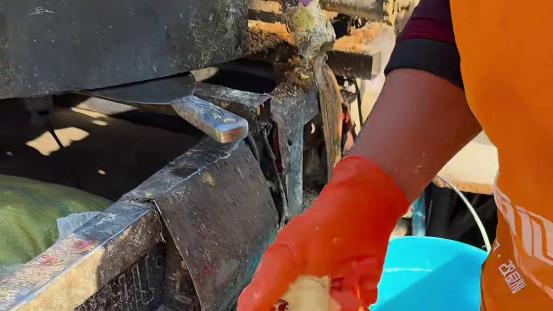 石家庄大集板栗饼！好扎实！还越嚼越香