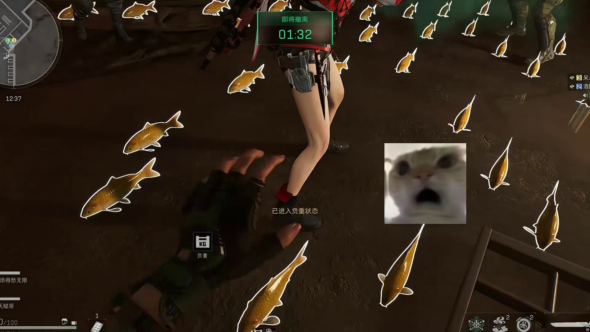 你说鼠鼠在绝密监狱里开水族馆？