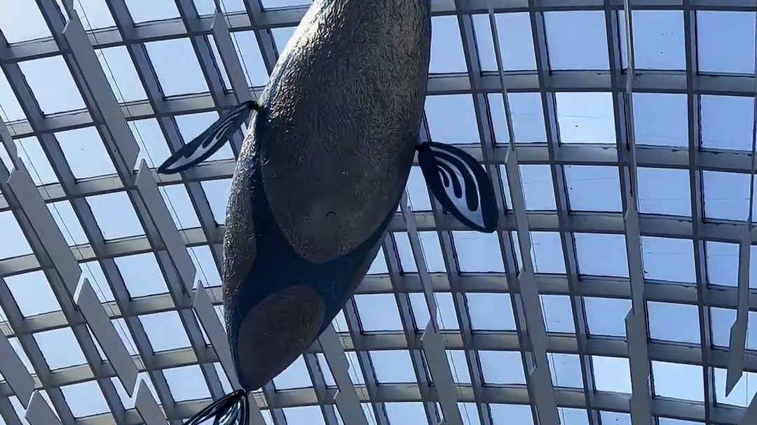 无人机表演，就找大成航空