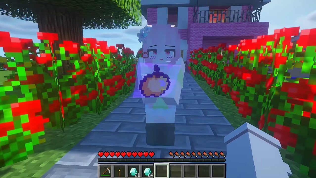 我的世界:玩家的生日