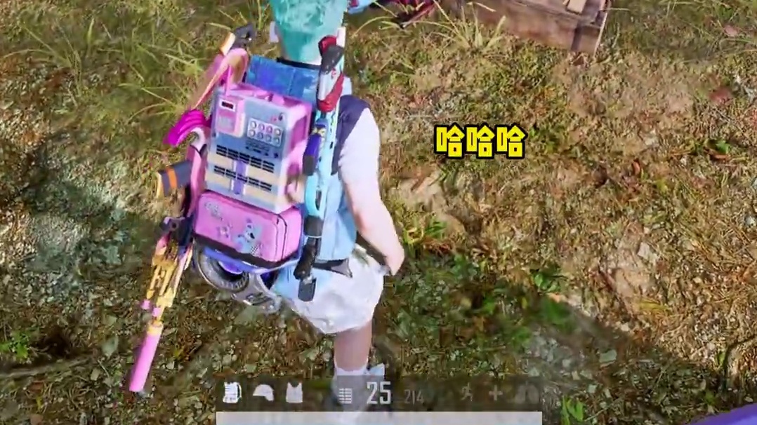 蹲鸡流老六玩法