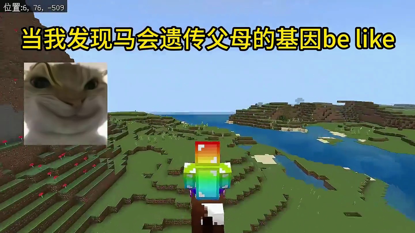 我的世界：当我发现马会遗传父母的基因be like
