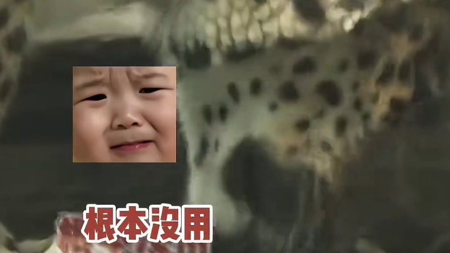 果然啊，慈父多败豹。