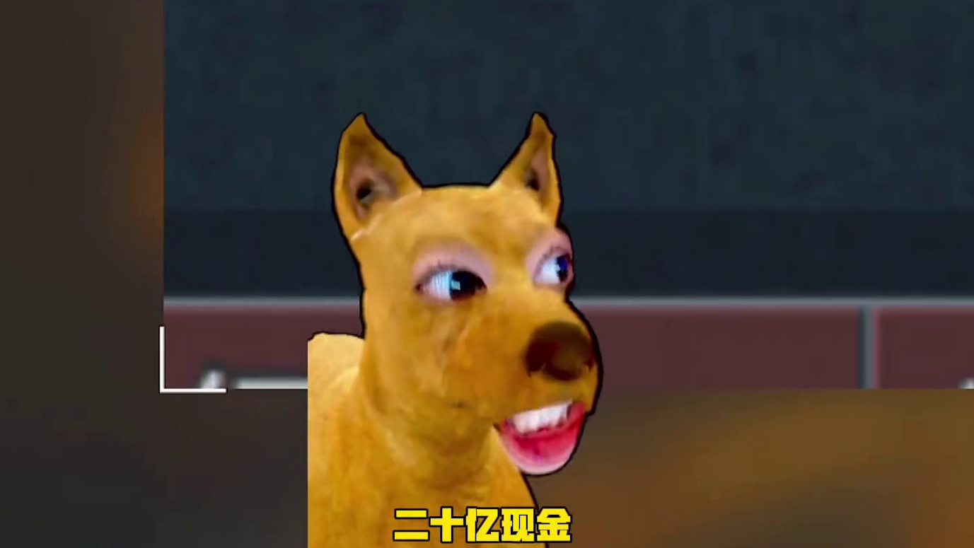 不知道该怎么评价了