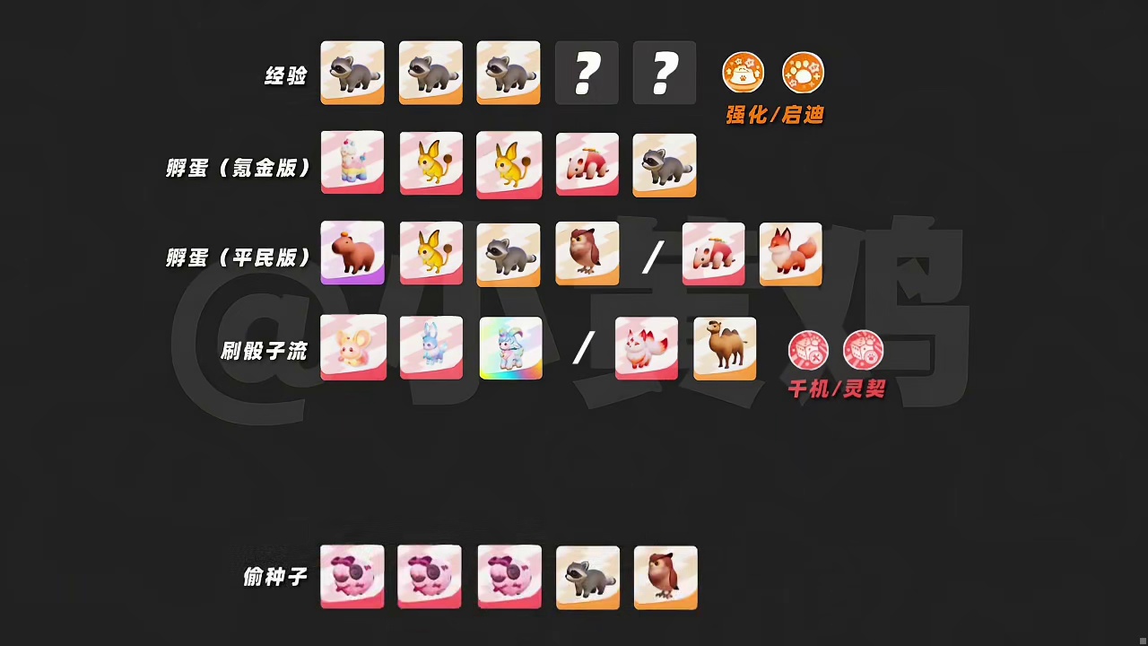 奇迹农场，什么样的宠物搭配，才叫好？ 元梦研究僧