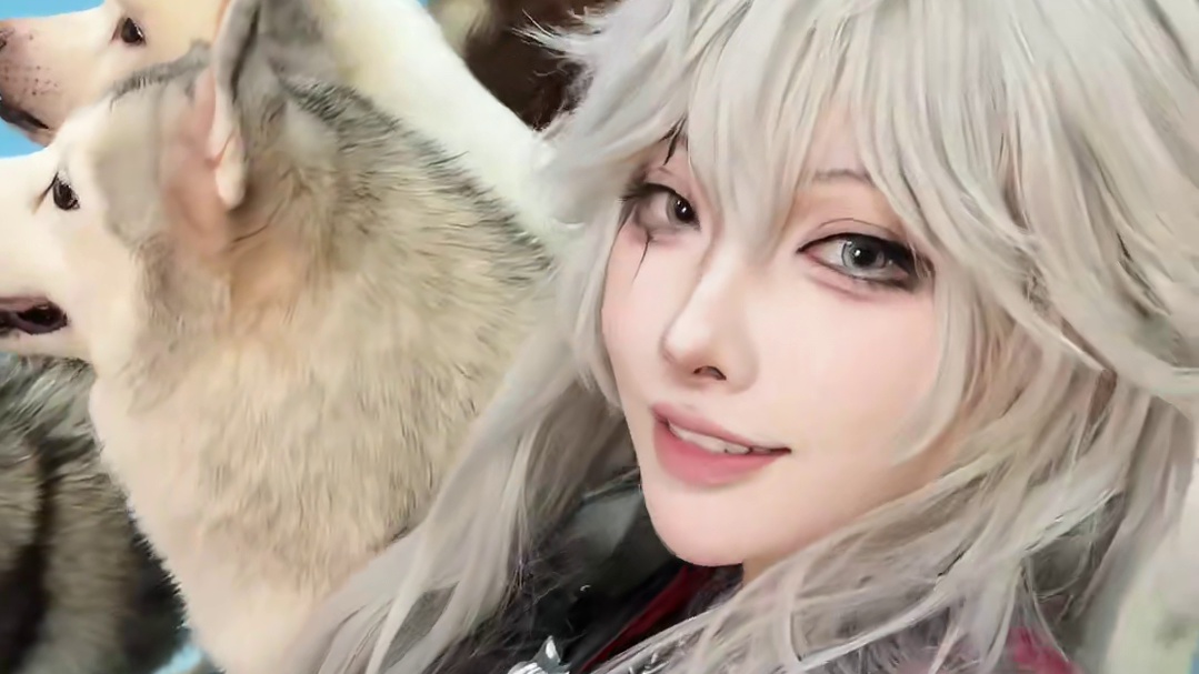 拍不到真狼群只能来……… ooc致歉框框磕头