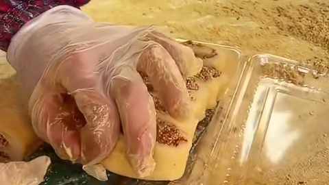 传统东北打糕一盒12看看能买多少？糯叽叽的超好吃！