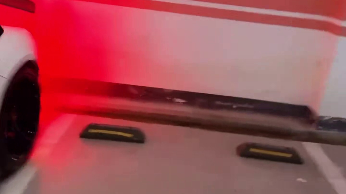 老白带大家看大牛改的屁股 简直帅的要死 红旗坐老白大牛上车下车费老大劲了