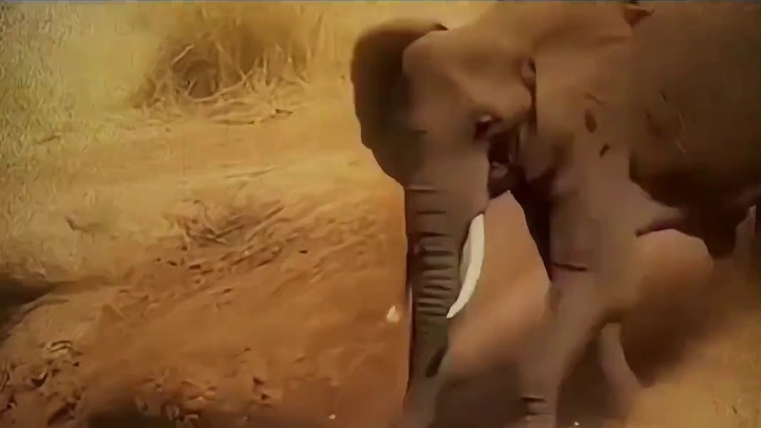 武力智商全被碾压 社会牛哥秒破防