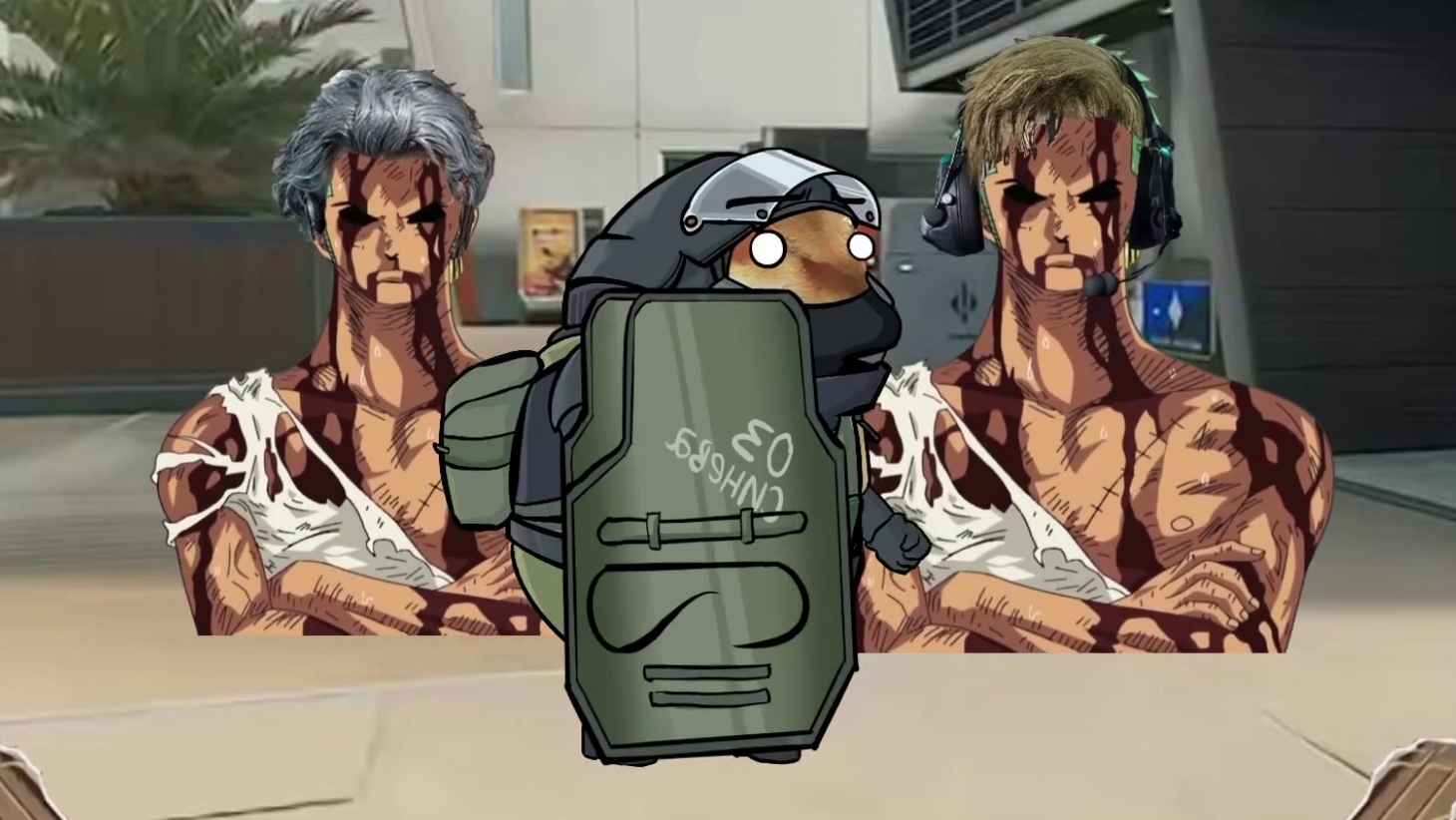 什么叫鲨鱼也来闪击宿舍