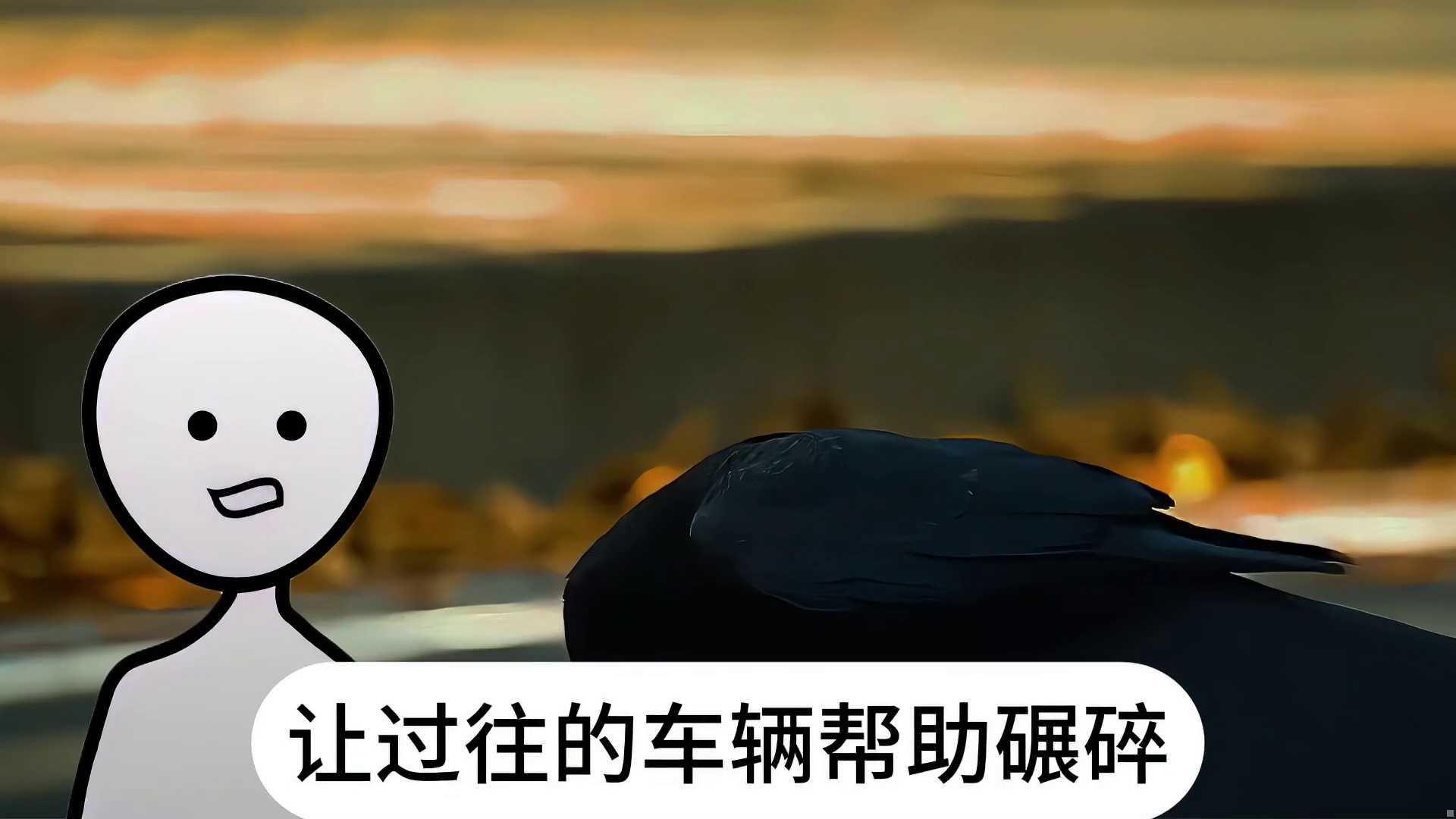 你绝对想不到乌鸦是如何开核桃的