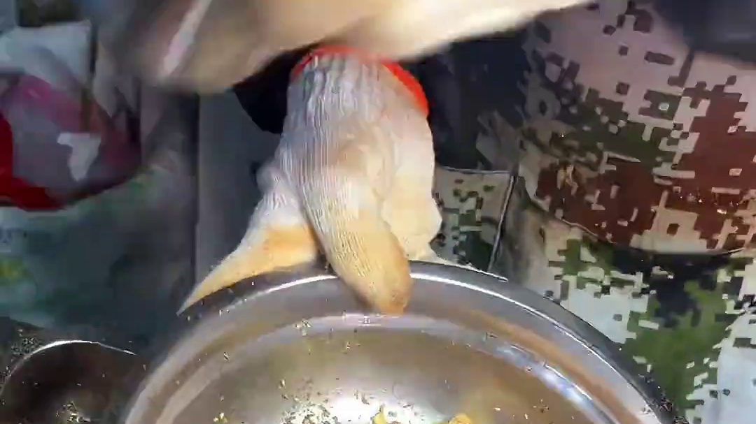 路边摊的煎毛蛋真的太上头了！一口下去全是…越吃越香！