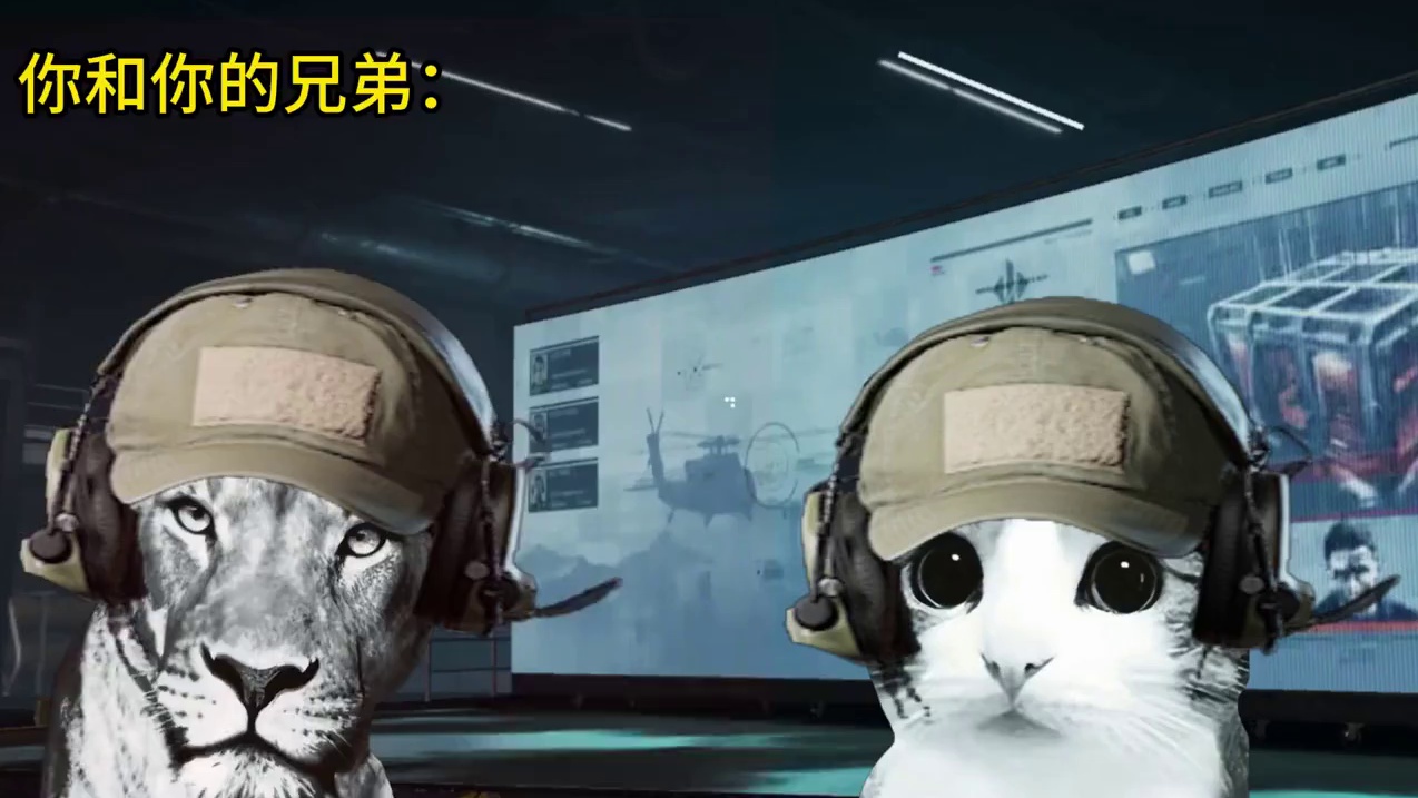 当兄弟说有事先不打了...