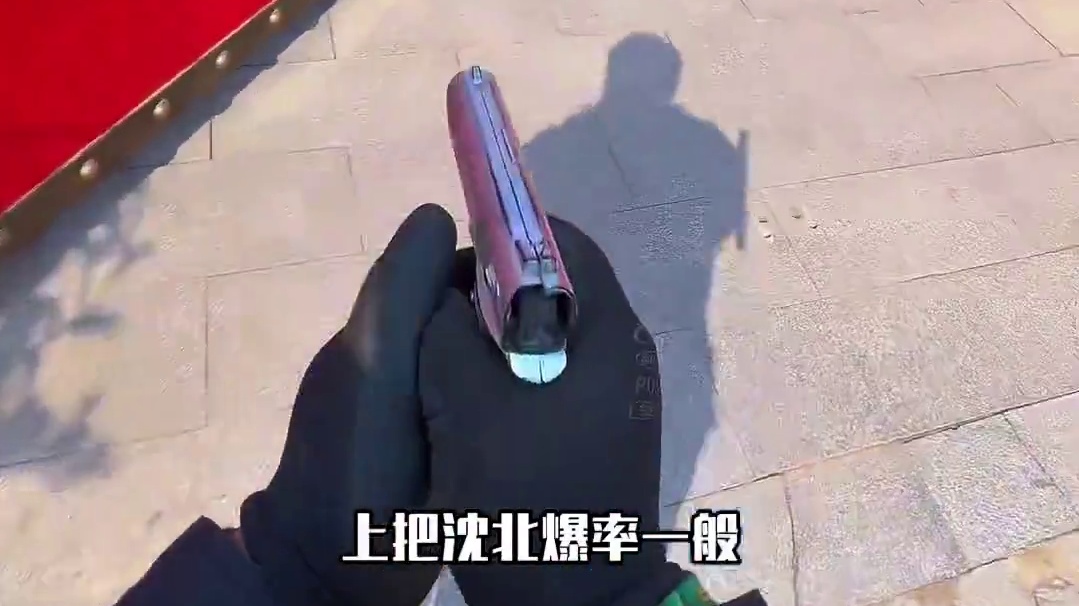 在沈阳碰见母老虎了，没撤离出去….