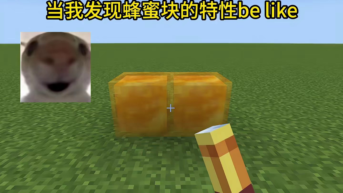 我的世界：当我发现蜂蜜块的特性be like