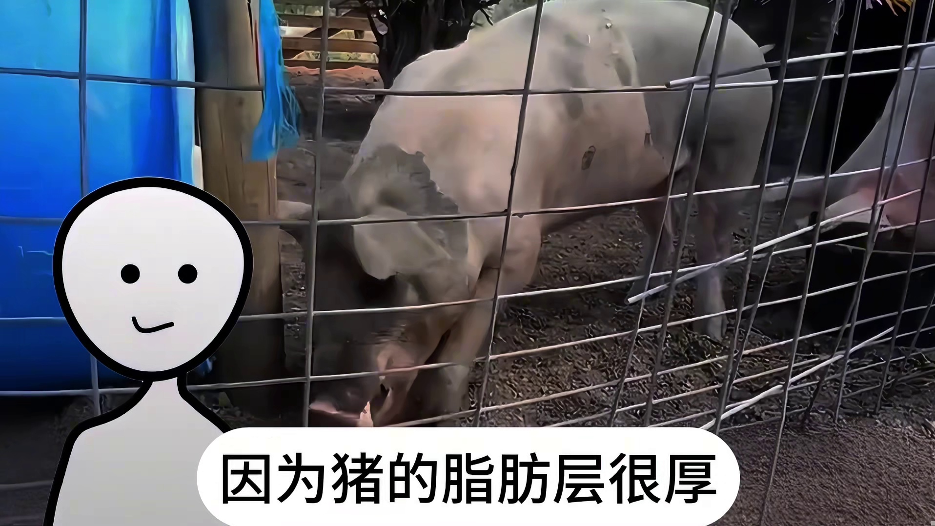 假如发生战争什么人会优先上战场