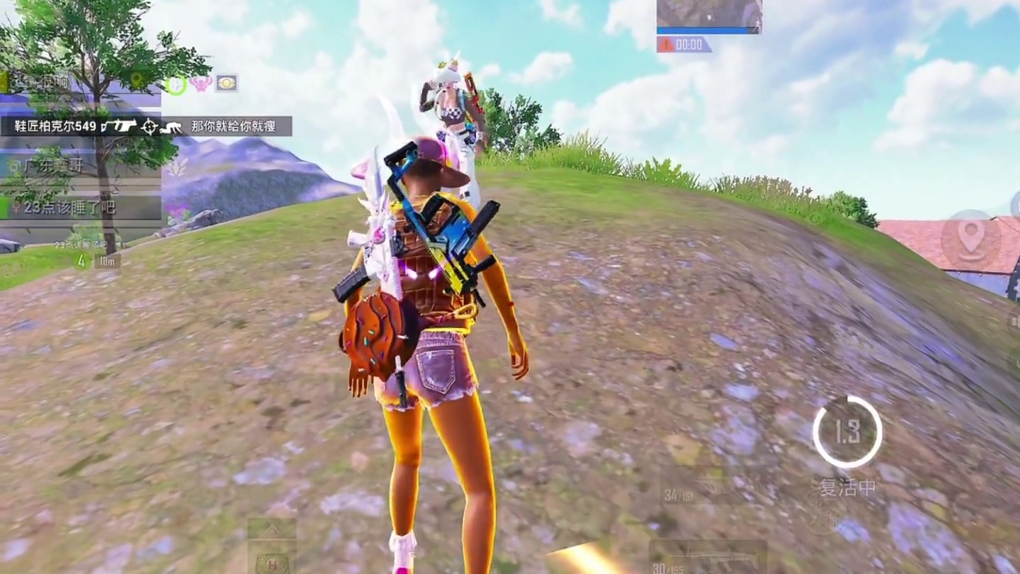 和平精英双面对决