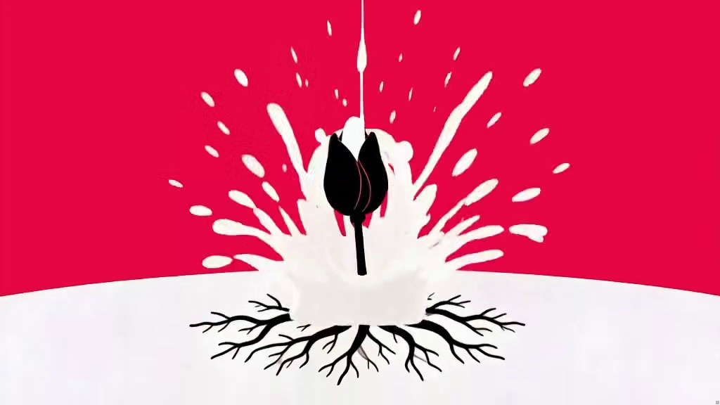 用喜鹊谋杀案的方式打开枪侍的一生！