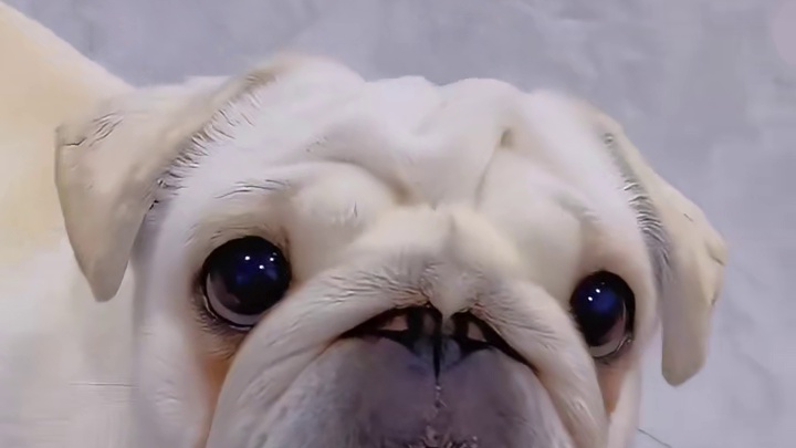 配合的确实没毛病！