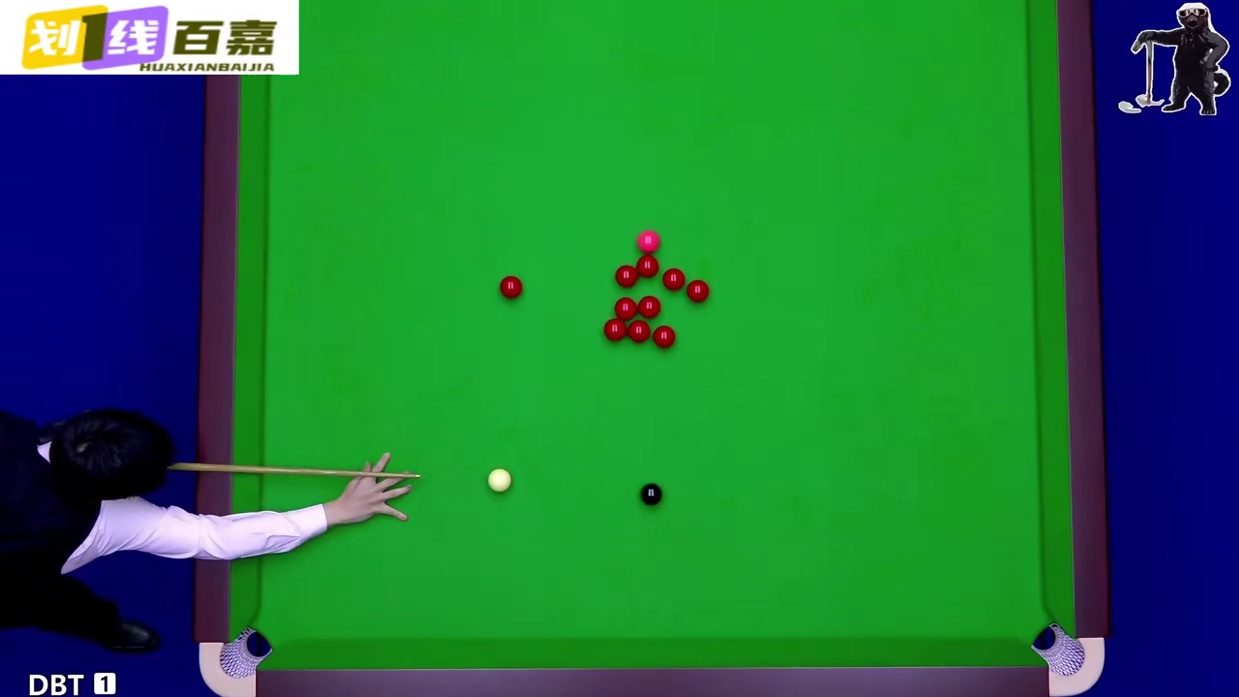 2026玉山世界公开赛，赵心童上演极限准度，贴裤长台全场沸腾