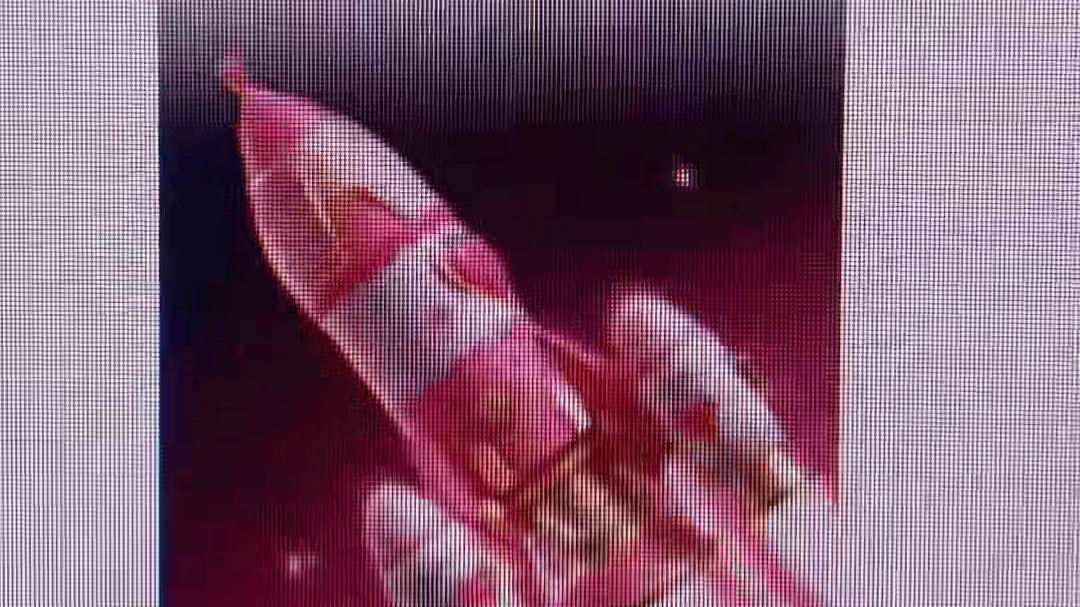 奔赴 今日 快乐