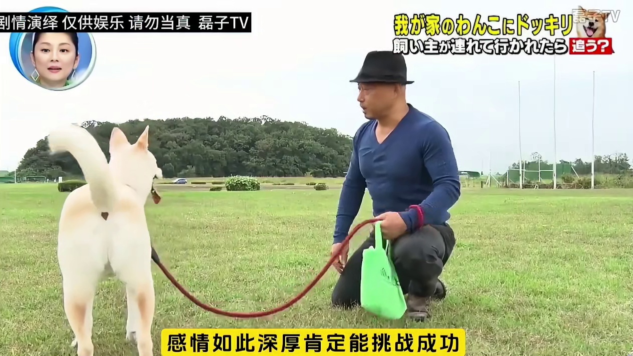 当主人面对危险时，你家的狗子会在危难时刻追上去救你吗