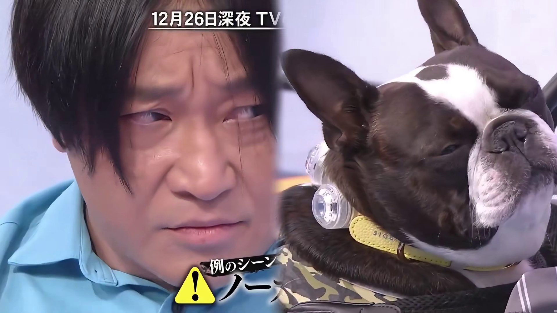 憋笑比赛，男人VS女人VS狗子