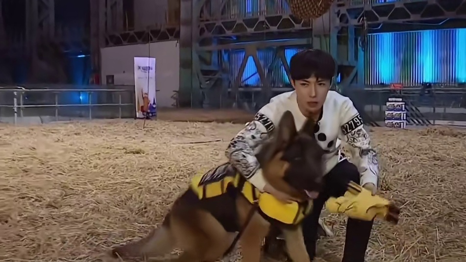 要不是布鲁斯孙红雷就得在上面过夜了