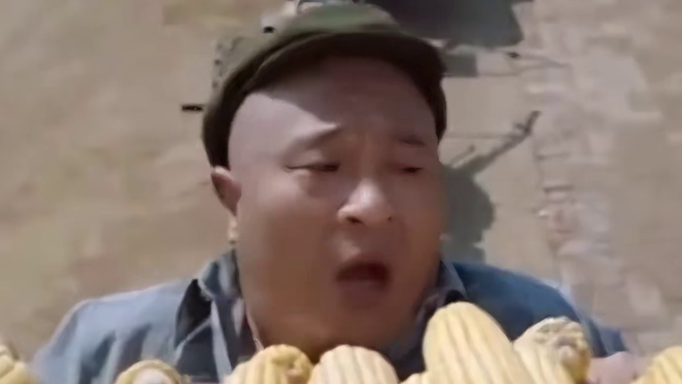 赵四上房晒玉米 谁知梯子发生了意外 这下有好戏看了 哈哈